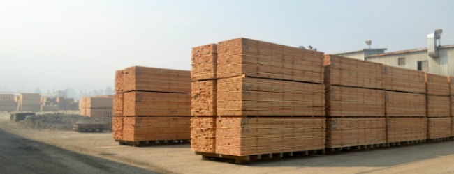 softwood-lumber-andrew-snook.jpg