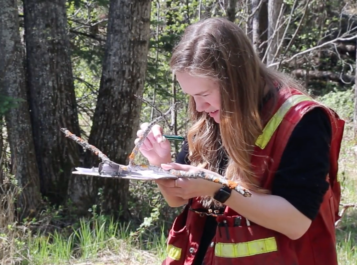 Women in Forestry