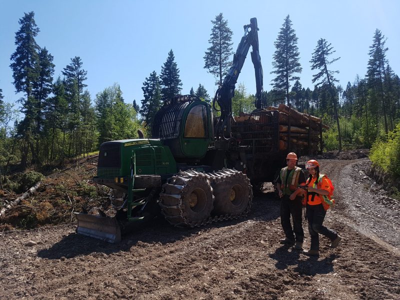 Women in Forestry